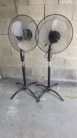 Fans