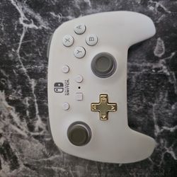 Nintendo Switch Power A controller 