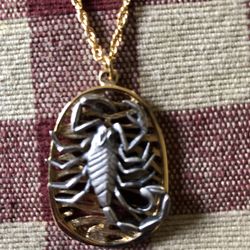 Scorpio Necklace on Chain