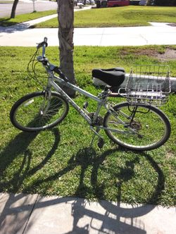 SC40 RALEIGH