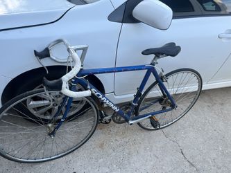 Bicycle /Bycicleta