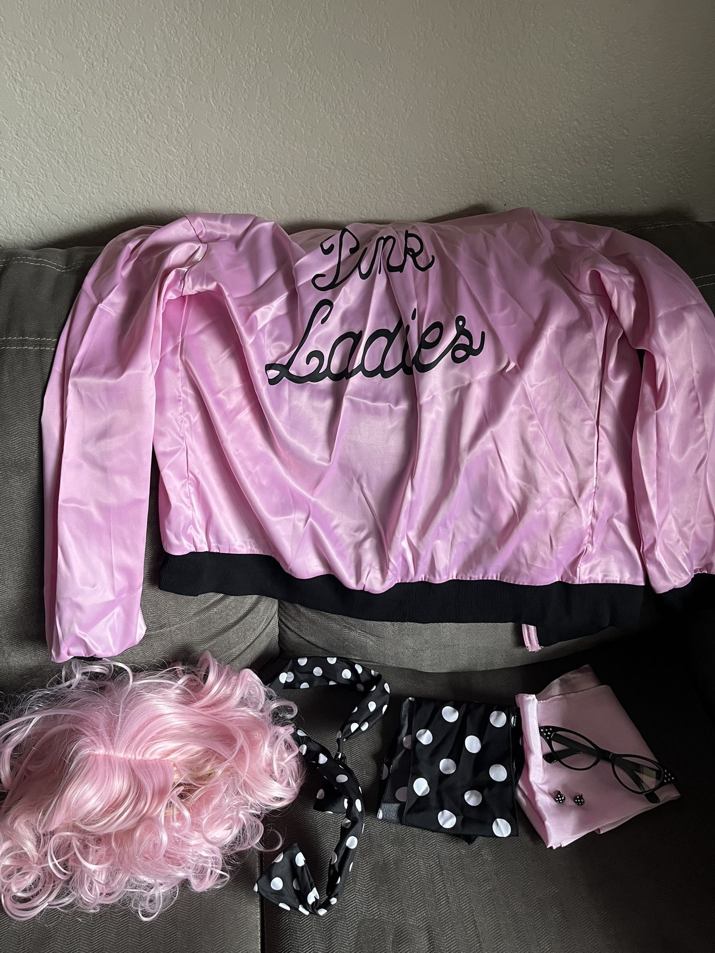 Pink Ladies Costume