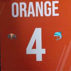 Dolphins Parking Pass