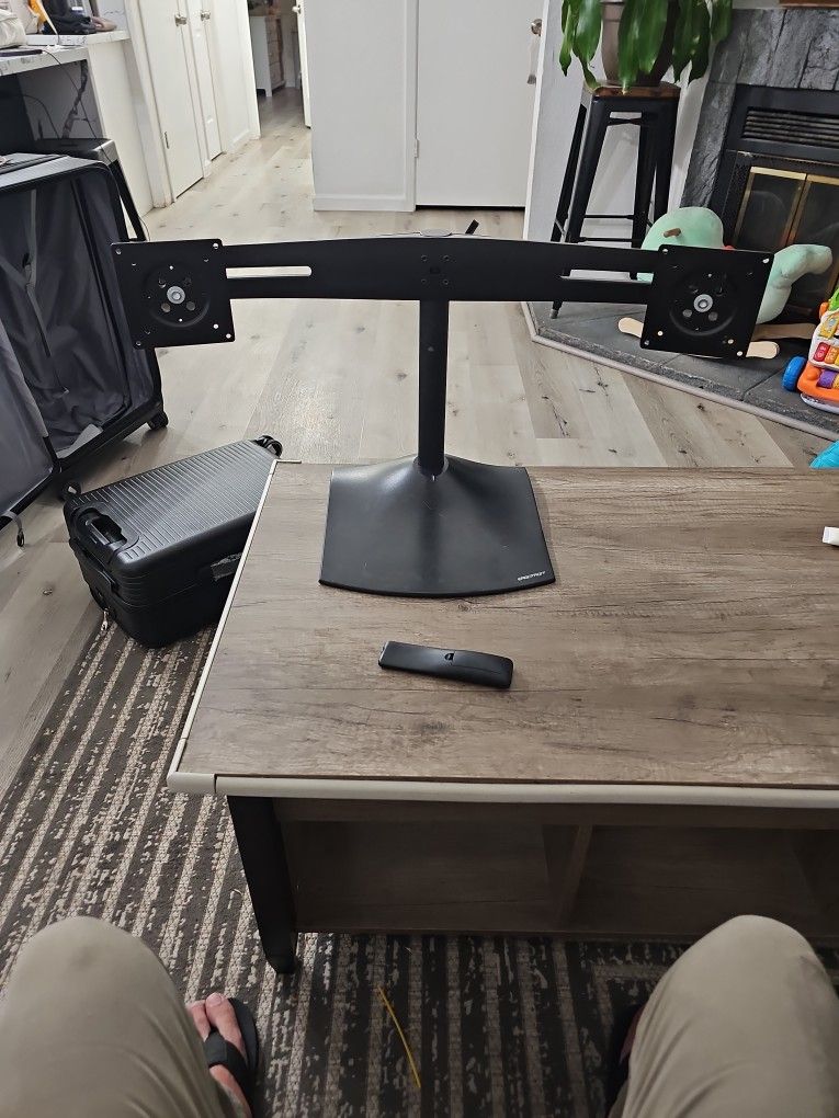 Ergotron DS100 Dual-Monitor Desk Stand, Horizontal, Black