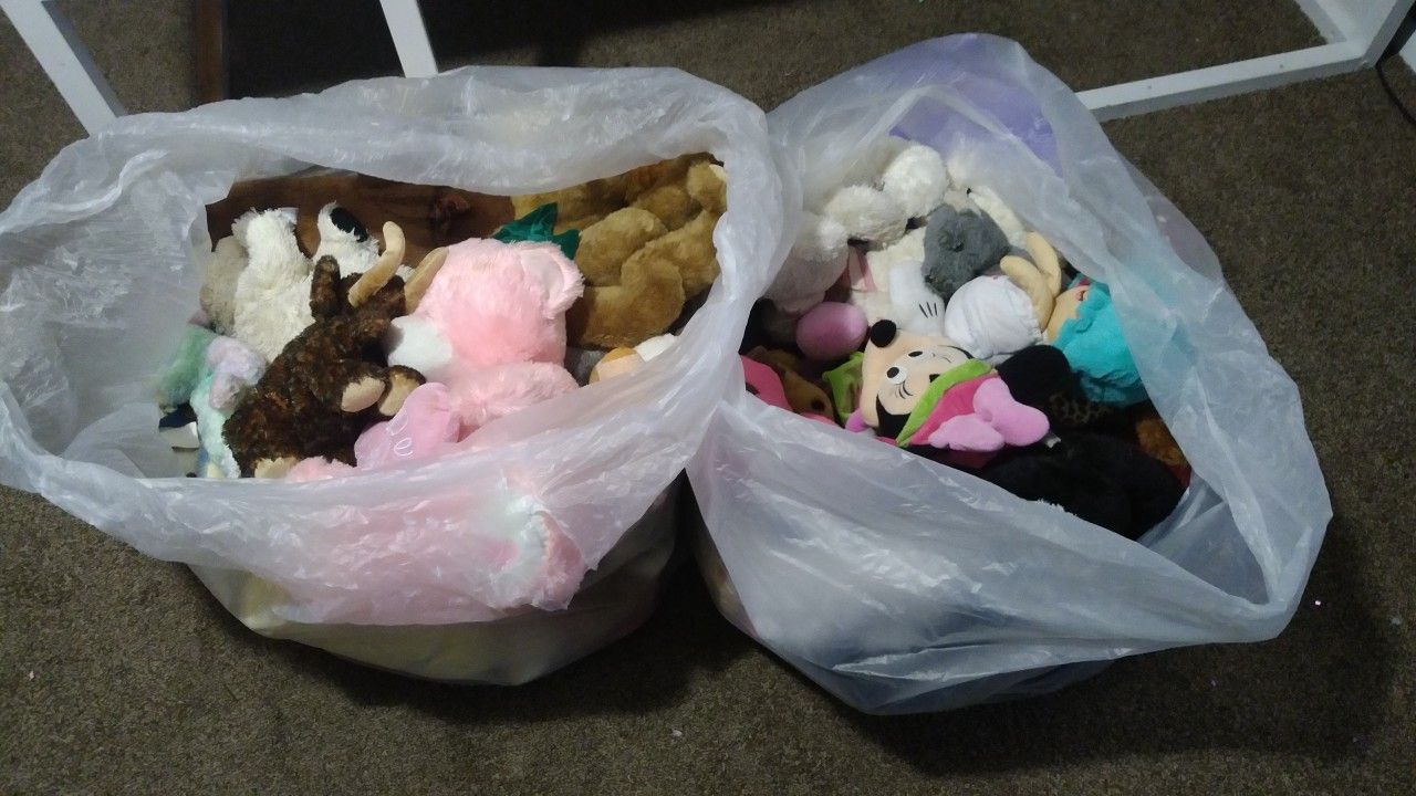 Free stuffed animals