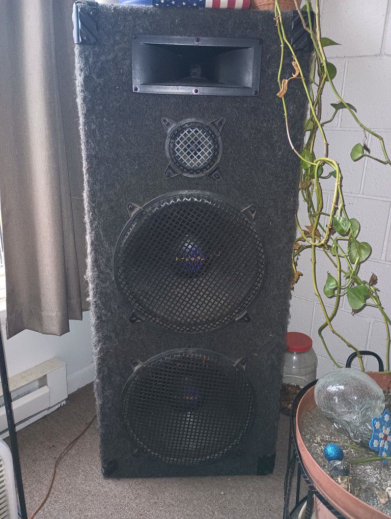 Two Pro Studio Loud Speakers