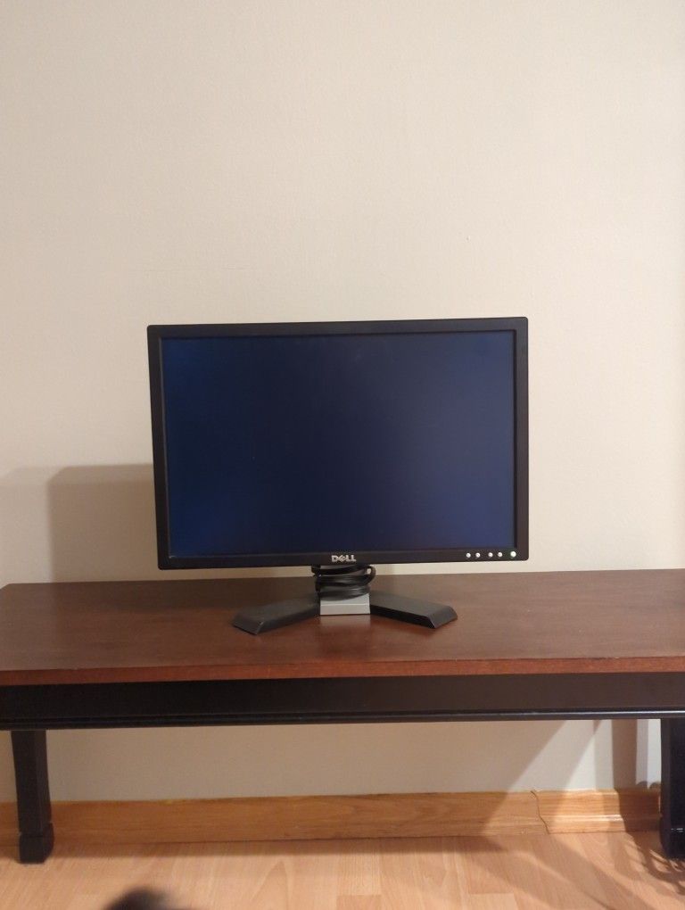 Dell 20 Inch Monitor