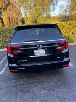 Honda odyssey
