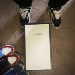 gucci ace leather 