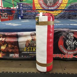 Punching Bag 