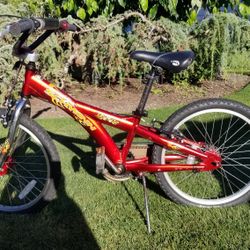 20 Inch Schwinn Bike
