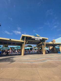 Seaworld this week only!!!