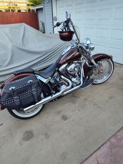 Harley Softail