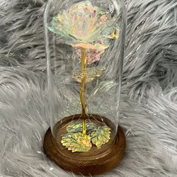 LED Roses… Different Styles! 🌹 Mother’s Day Gift