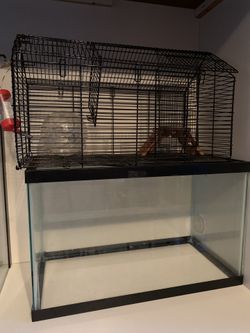2 Layers Animal House 