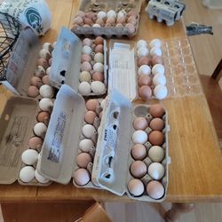 Fresh Organic Free Range  Eggs