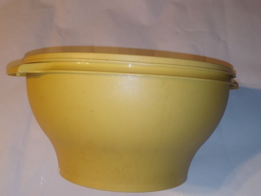 Vintage Tupperware Storage Bowl 