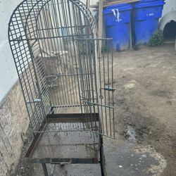 Bird Cage