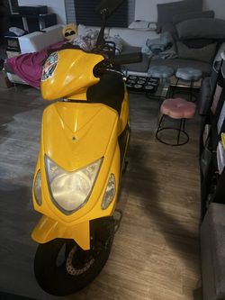 Scooter 2015
