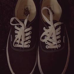 Men Authentic Vans Shoes