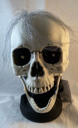 Skull Halloween Prop with Hair animated