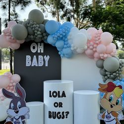 Lola Or Bugs Gender Reveal 