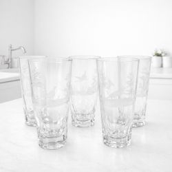 Rare Vintage (1950’s) Set Of 5 Josephinenhutte Sandblasted Crystal Tumblers