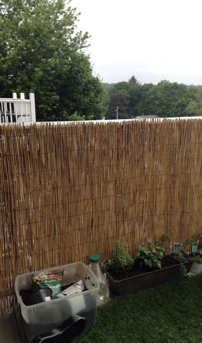 Reed fencing, bamboo sticks