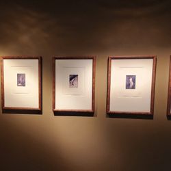 Framed Flower Photos