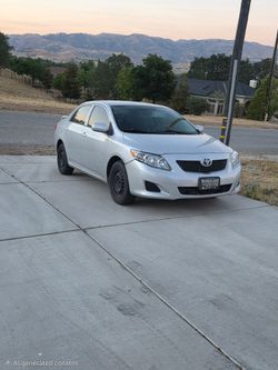 2010 toyota corolla