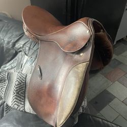English Sadddle.    Stubin  17 In 