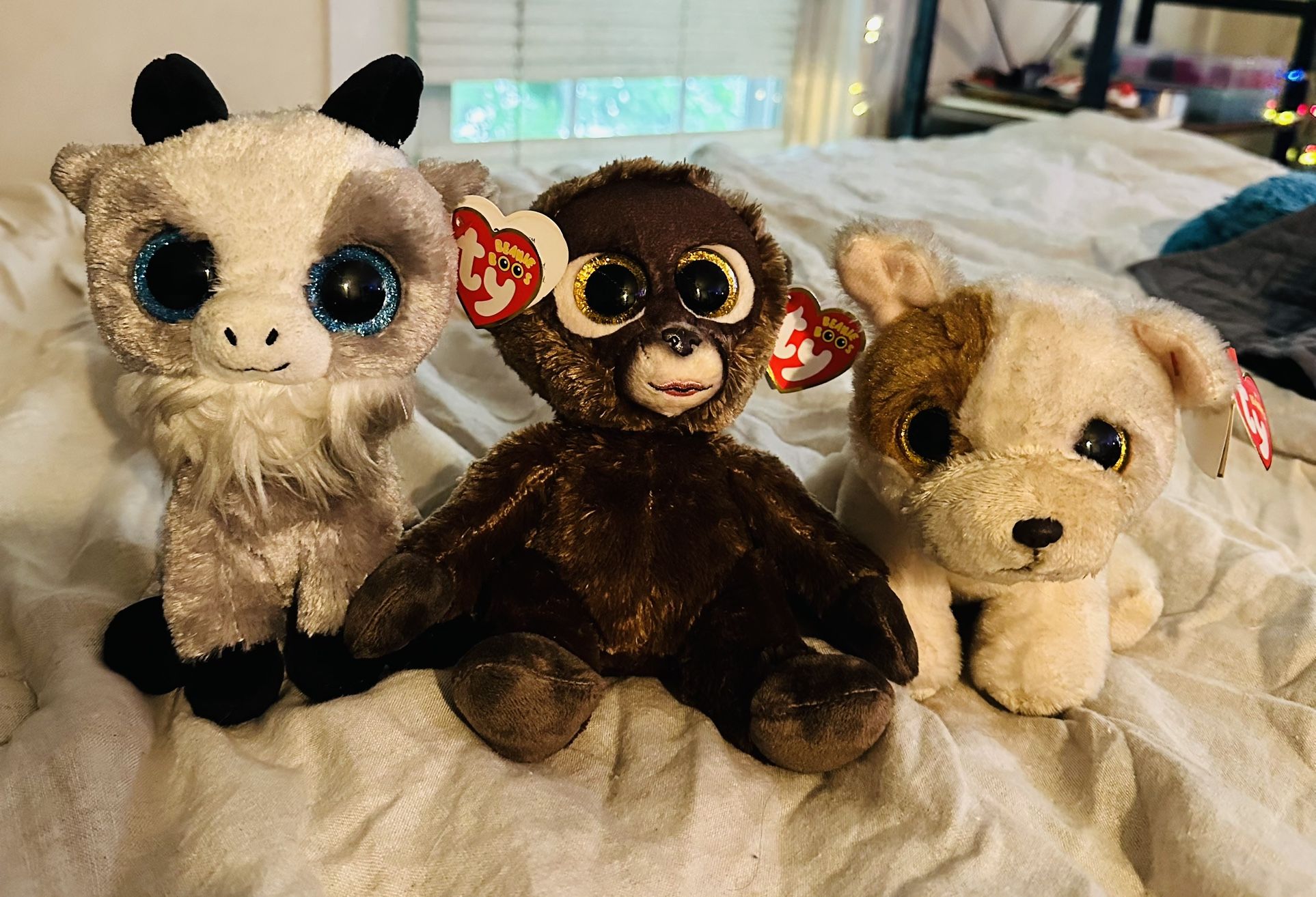Beanie Baby Bulldog And Beanie Boos