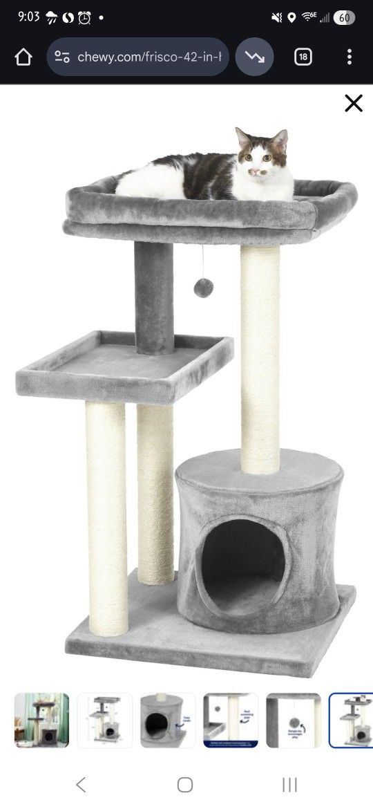 FREE!! Cat Tree From Chewy