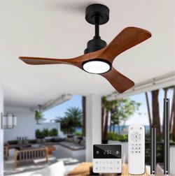 Ceiling Fan
