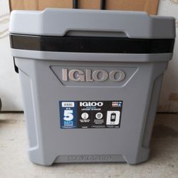 Igloo Max Cold Ice Cooler