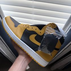 Air Jordan 1 Pollen Size 11.5