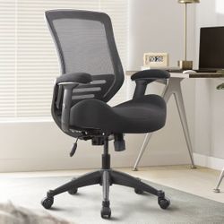Ergonomic Office Chair