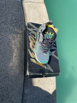LeBron 17s (SHOES)