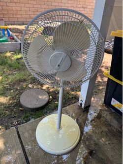 Oscillating fan