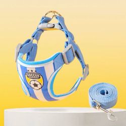 Dog harness with leash