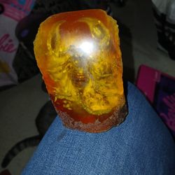 Scorpion inside of amber and petrified rock