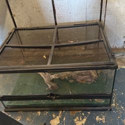 Lizard Tank