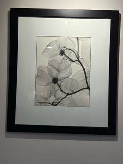 3 pcs. Black & White  Wall Art