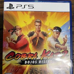 Cobra Kai 2 Rise Of Dojo PlayStation 5 PS5 Video Game