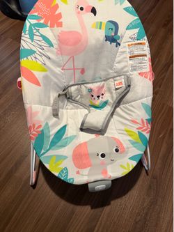 Baby Bouncer