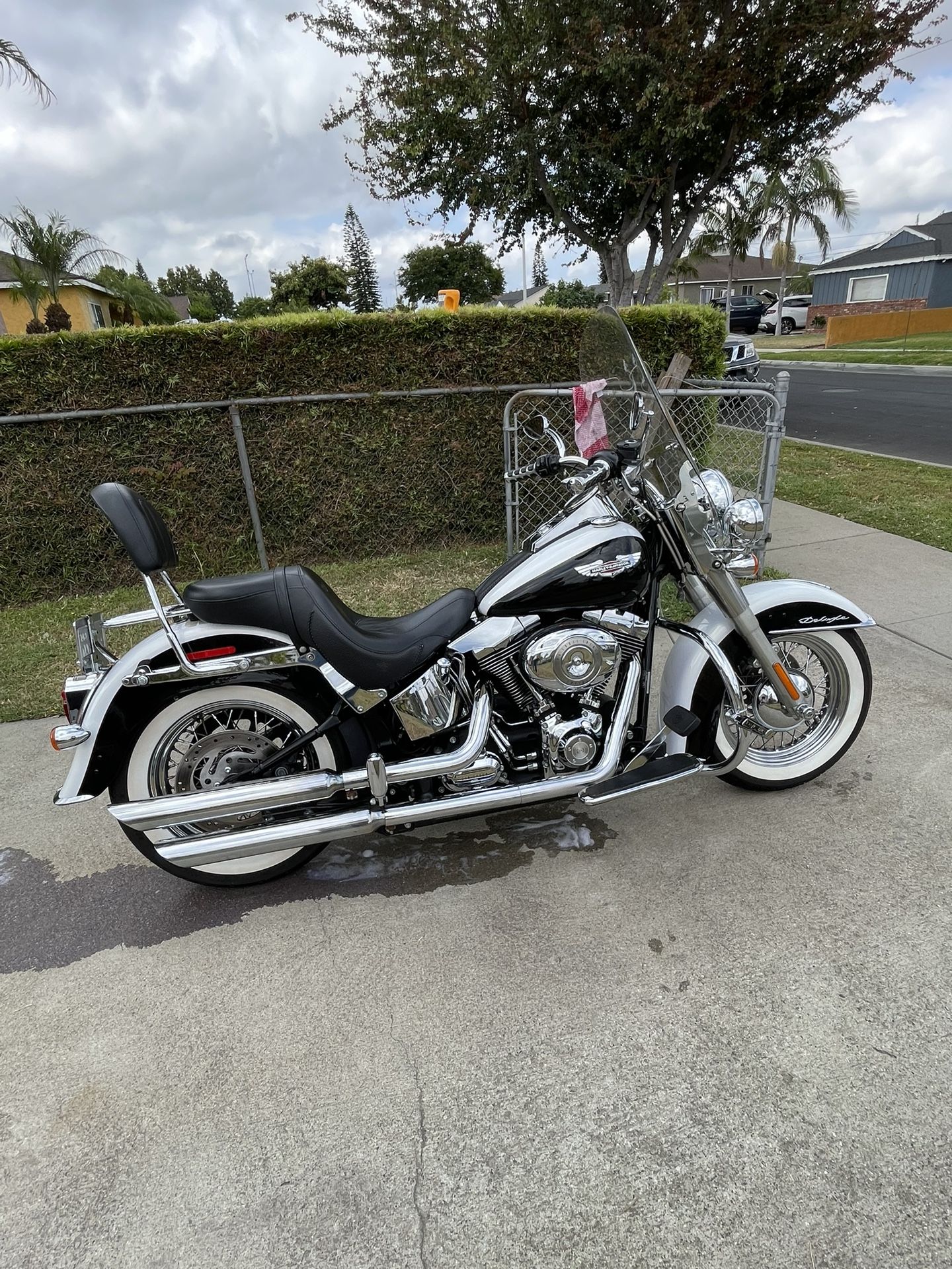 2007 Harley Davidson Soft Tail Deluxe