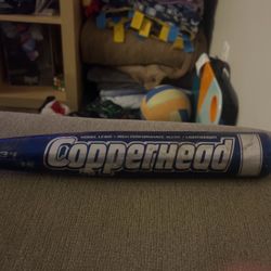 Little League And Pony League Bat