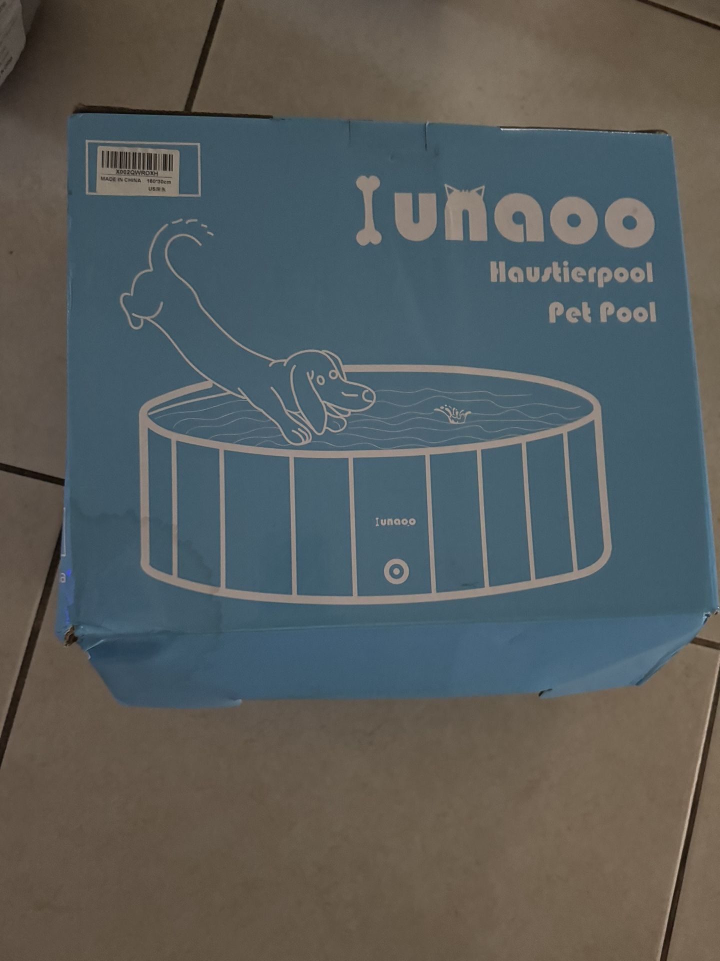 Dog Pool