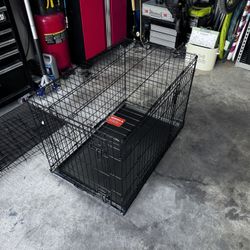 Collapsing Dog Crate