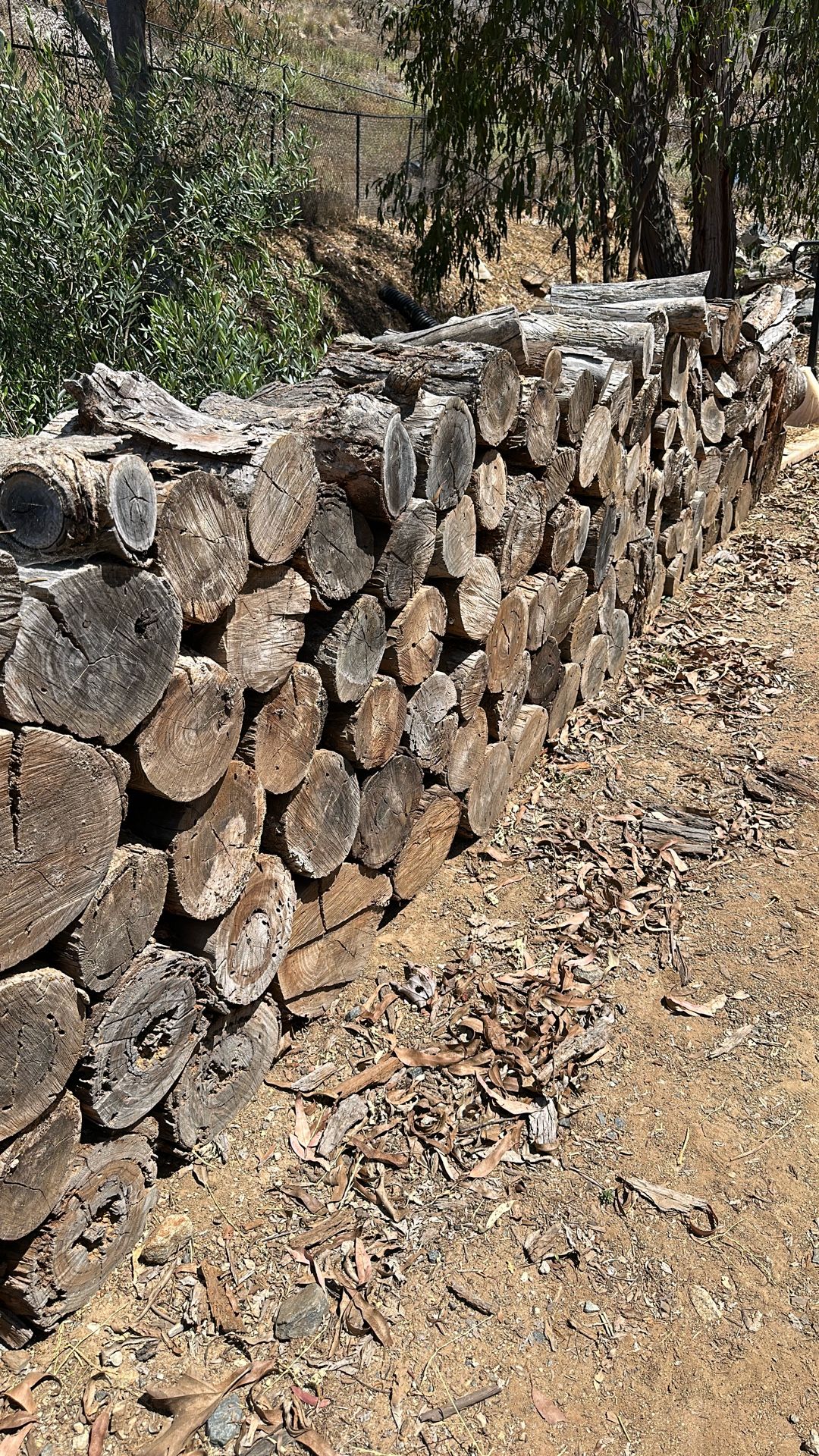 Firewood!